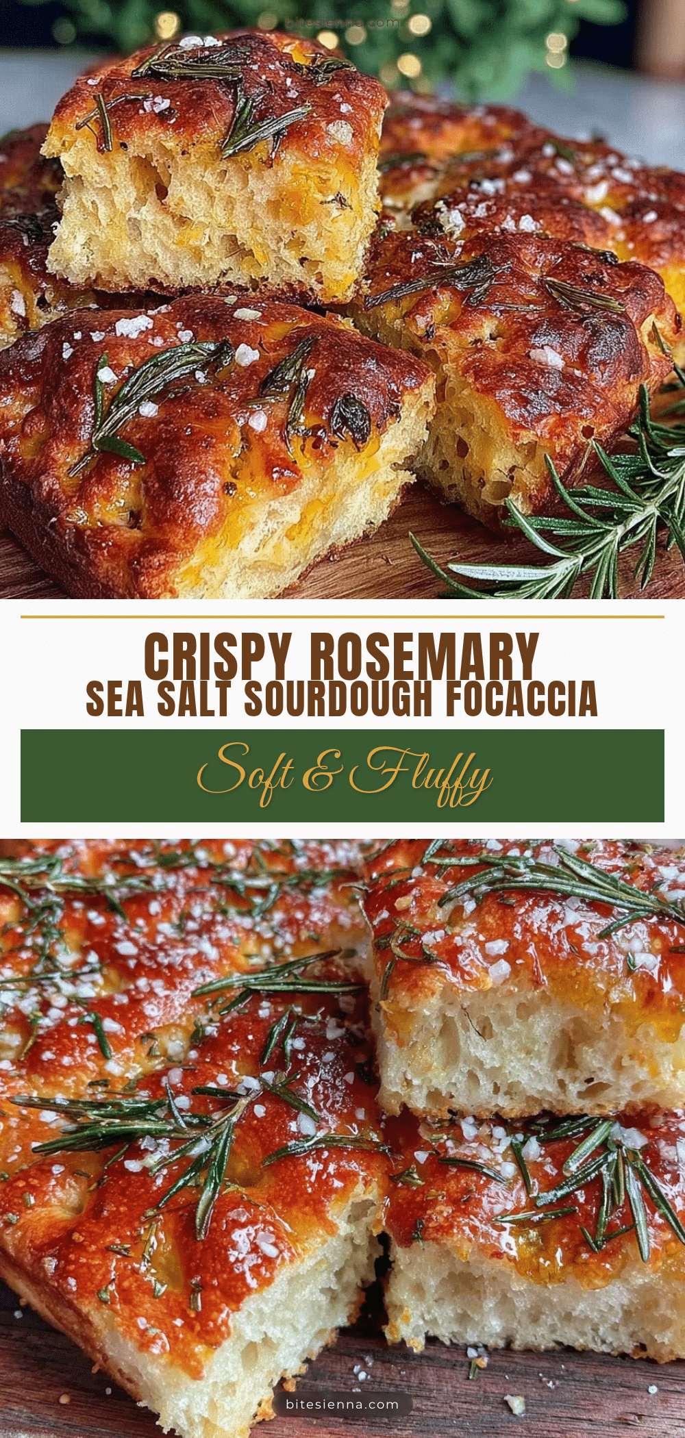 crispy sourdough focaccia recipe