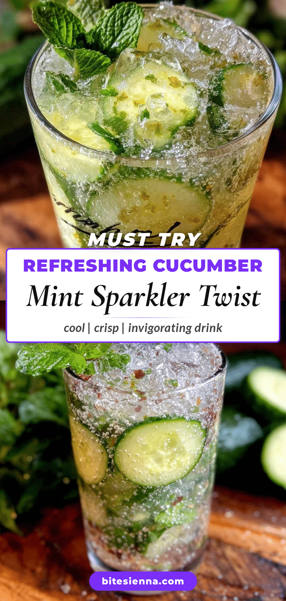 Fresh Cucumber Mint Sparkler recipe