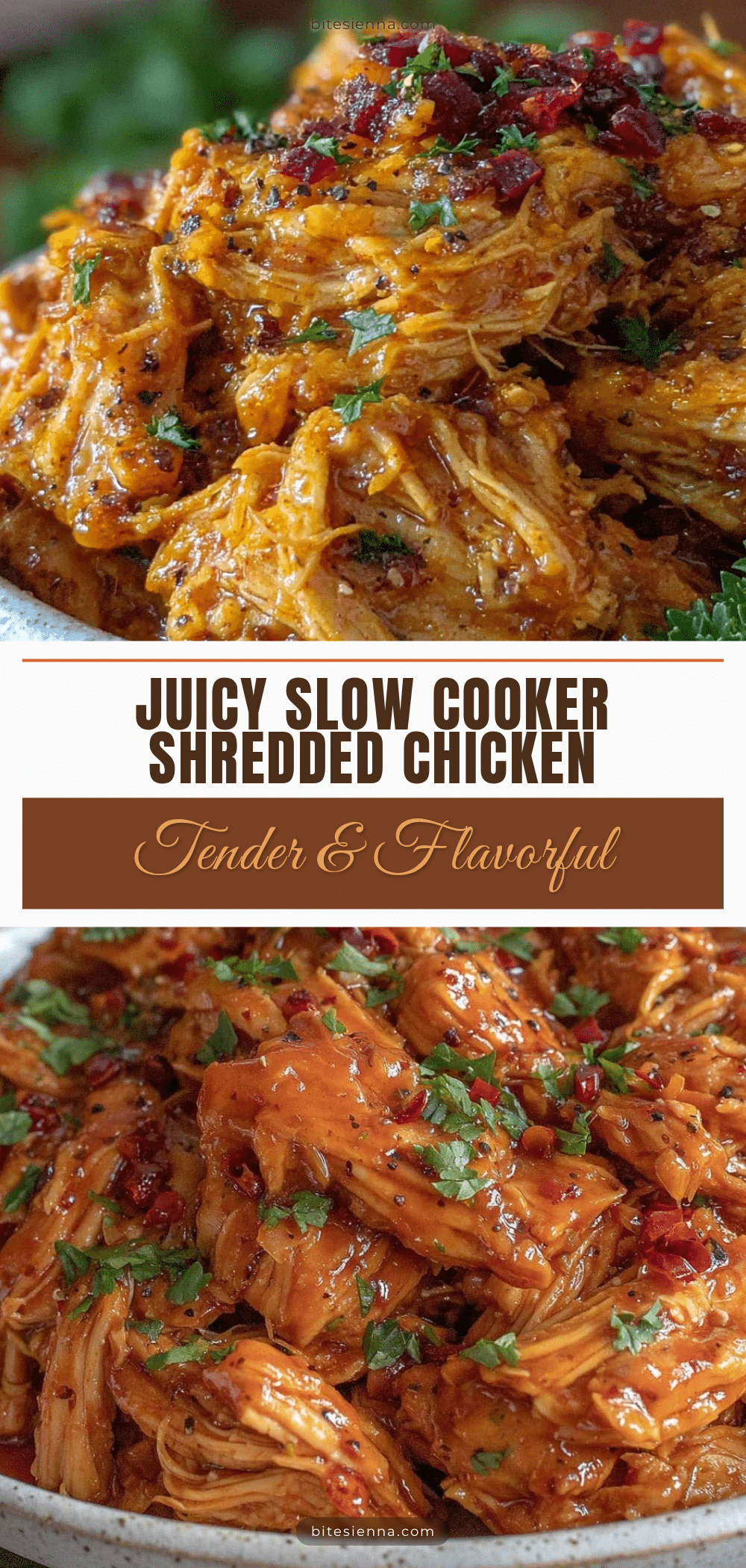 slow cooker shredded chicken recipe