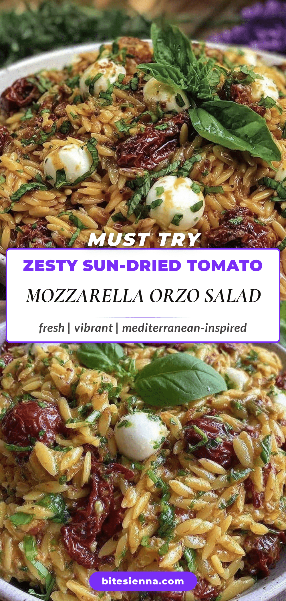 sun-dried tomato and mozzarella orzo pasta salad recipe