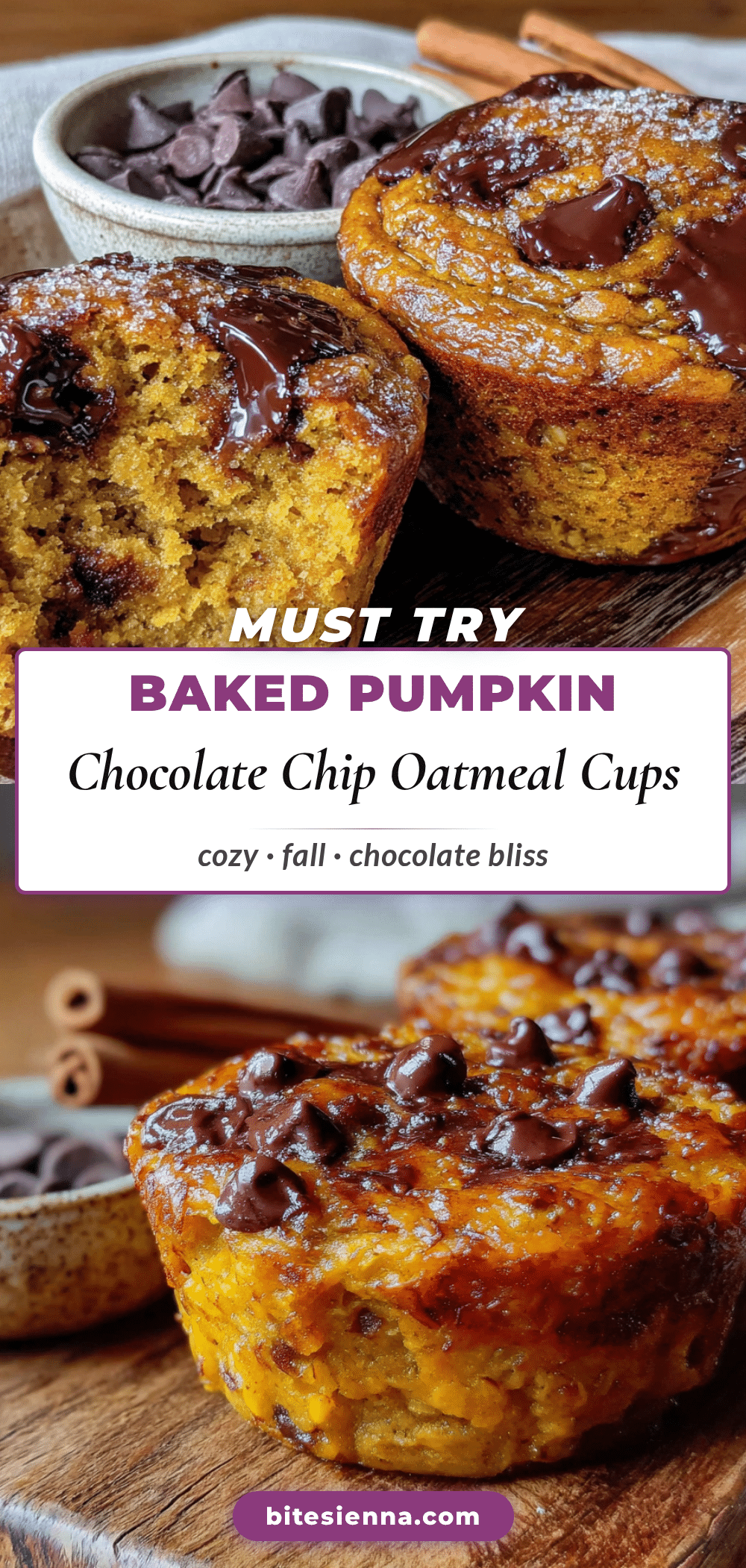 baked pumpkin chocolate chip oatmeal cups recipe