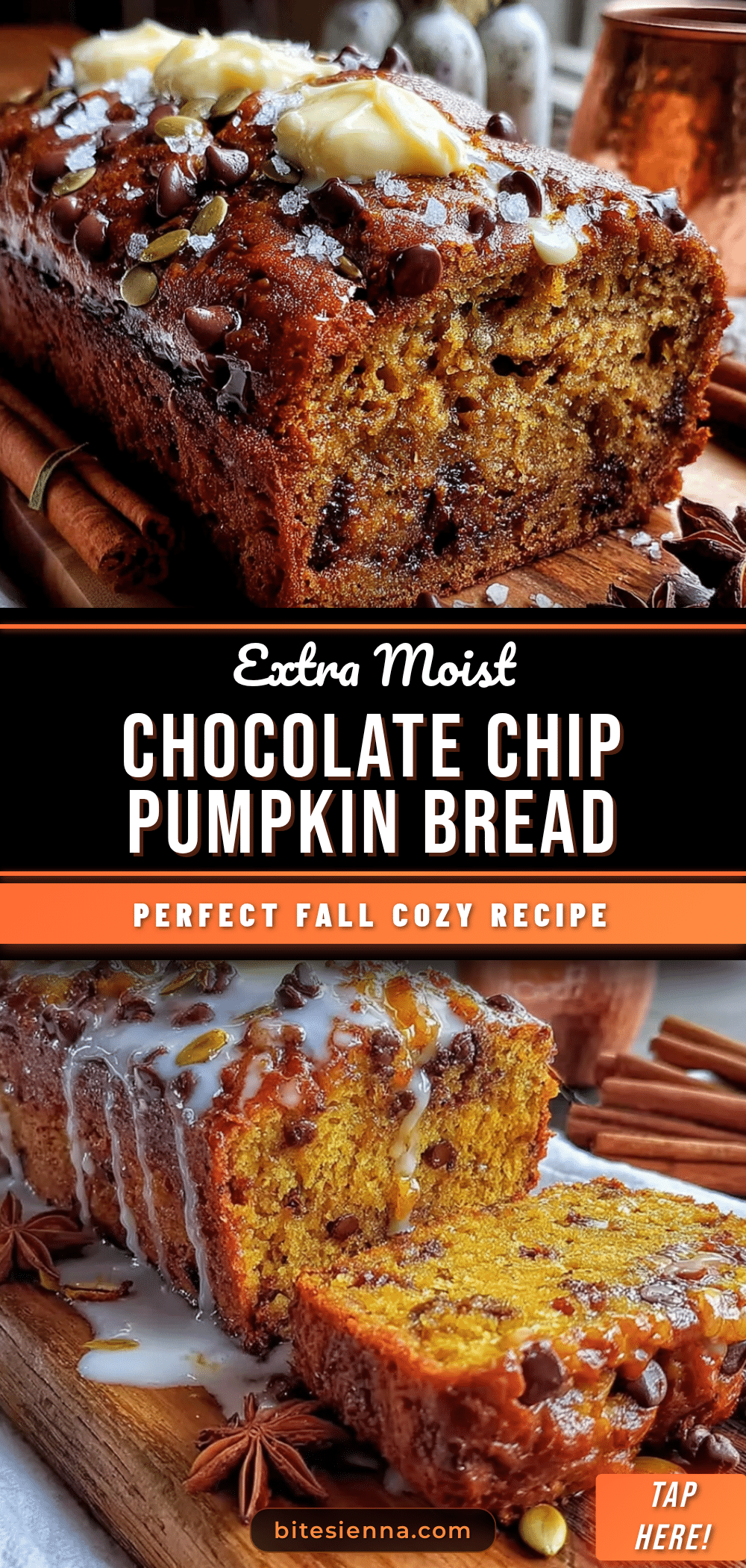 extra moist chocolate chip pumpkin bread recipe