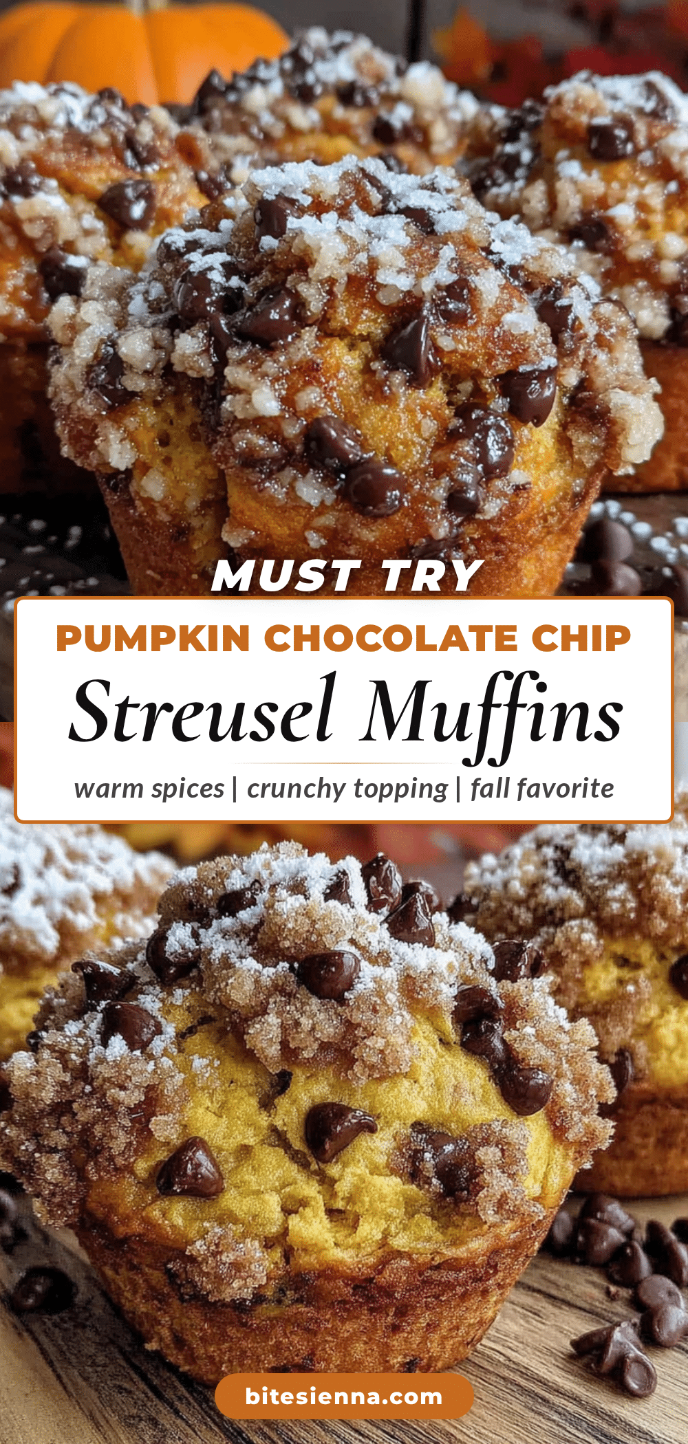 chocolate chip pumpkin muffins recipe