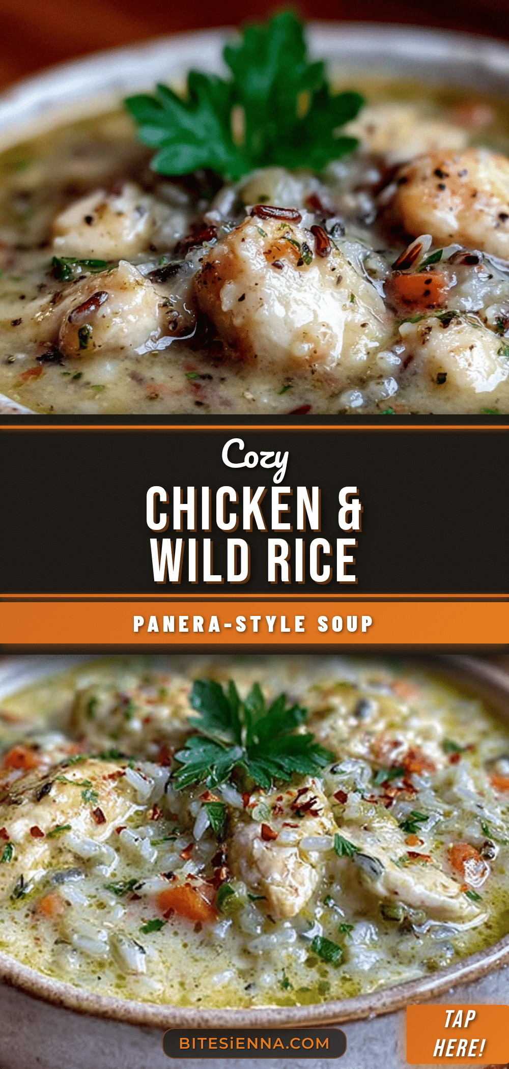 Cozy Panera-Style Chicken and Wild Rice Soup recipe