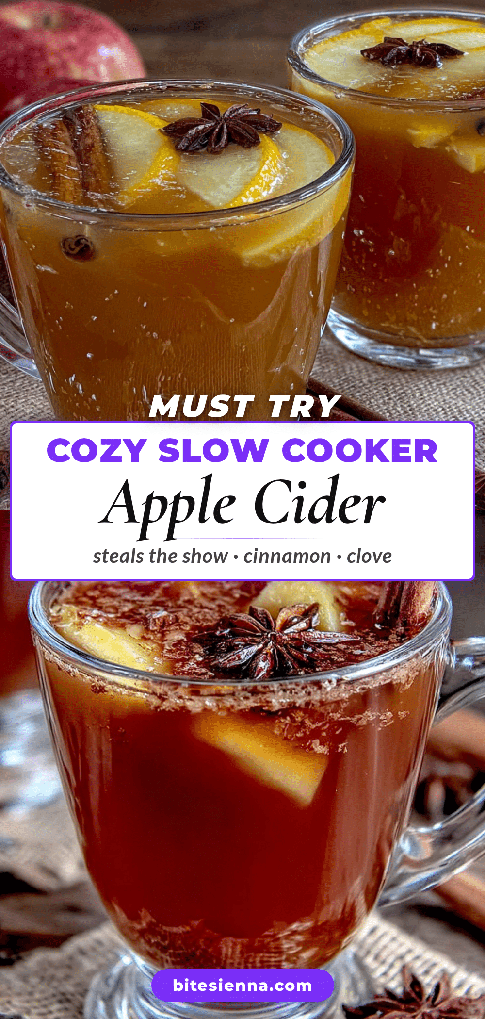 cozy slow cooker apple cider recipe
