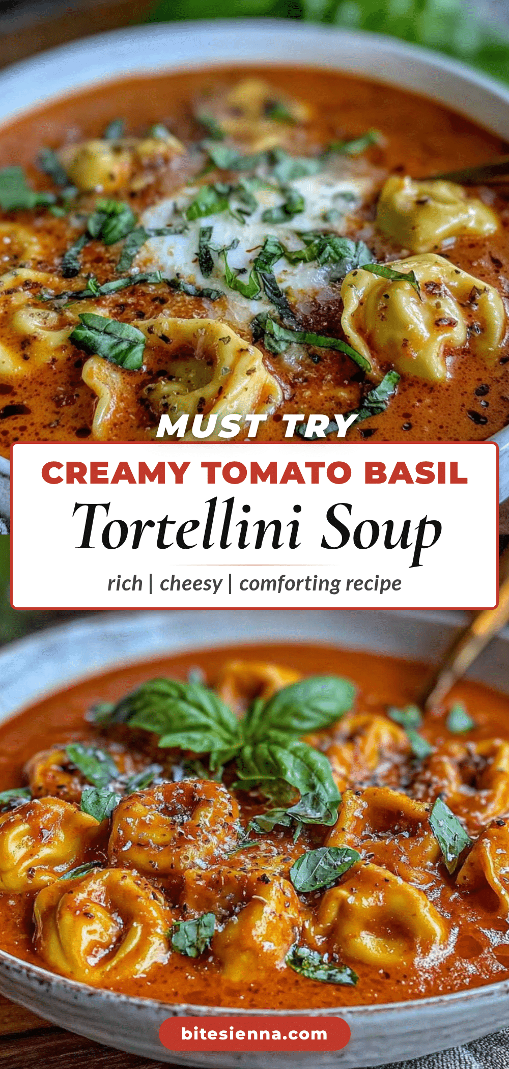 creamy tomato basil tortellini soup recipe