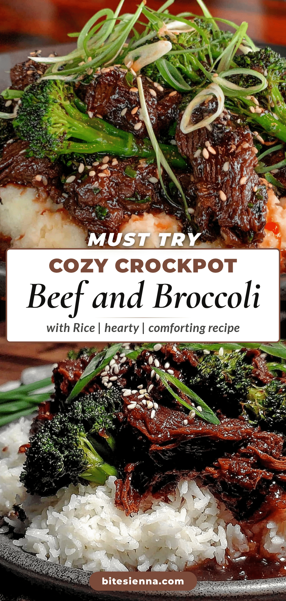 crockpot beef and broccoli recipe