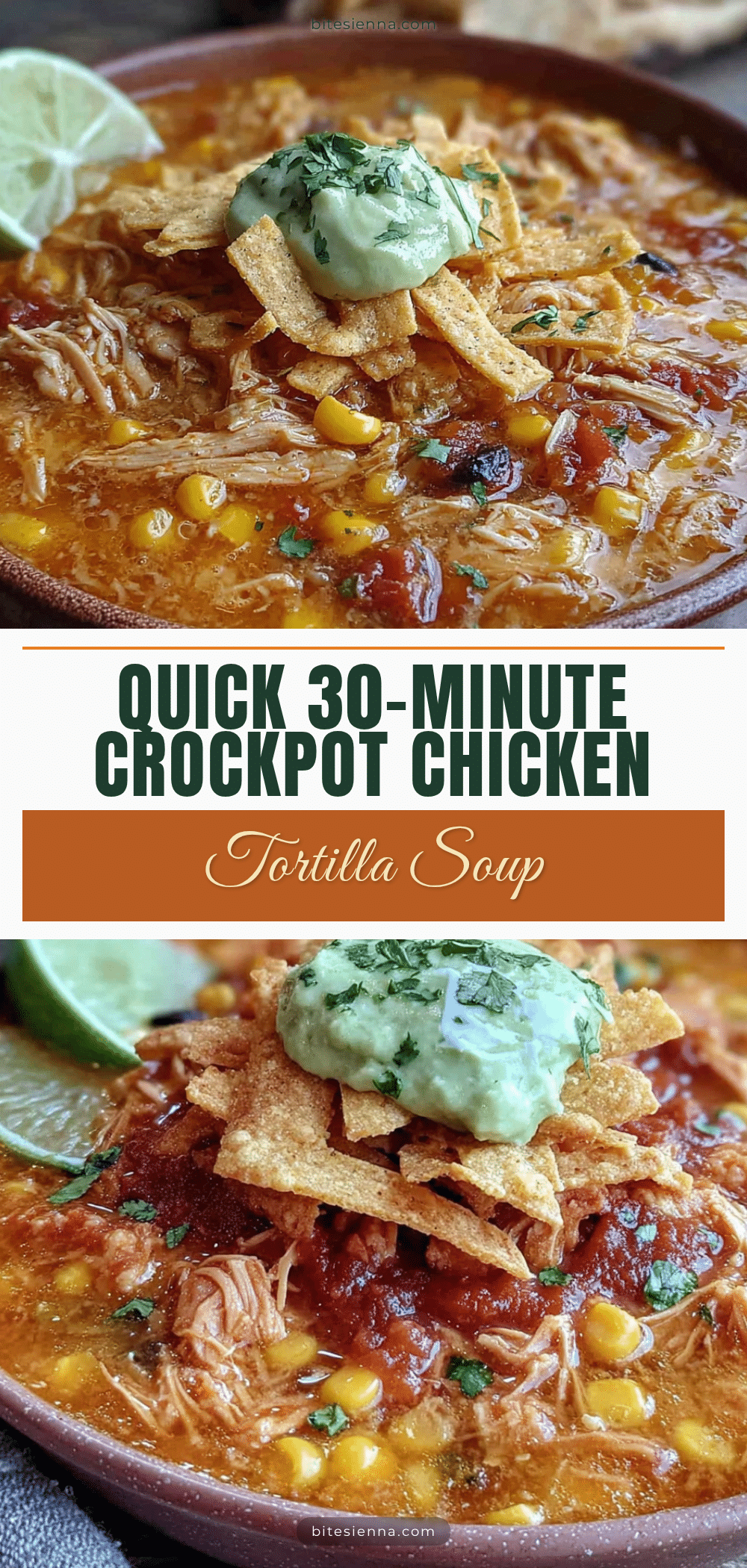 crockpot chicken tortilla soup recipe