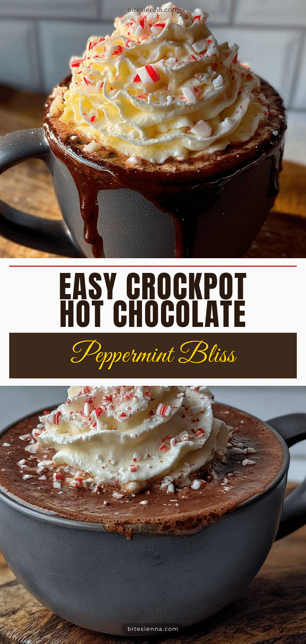 crockpot hot chocolate with peppermint whipped cream recipe