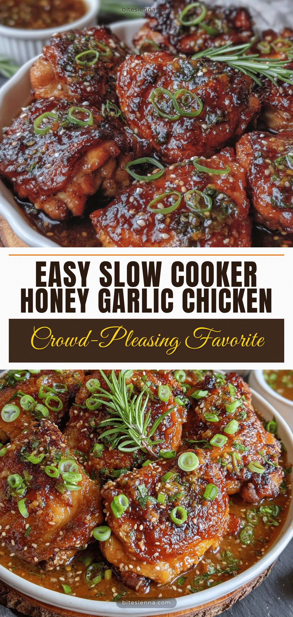 easy slow cooker honey garlic chicken thighs recipe