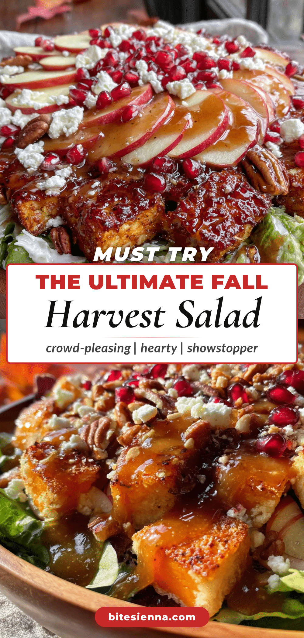 fall harvest salad recipe
