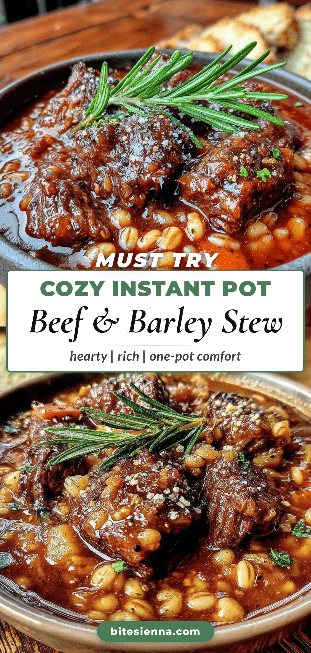 Instant Pot Beef and Barley Stew recipe