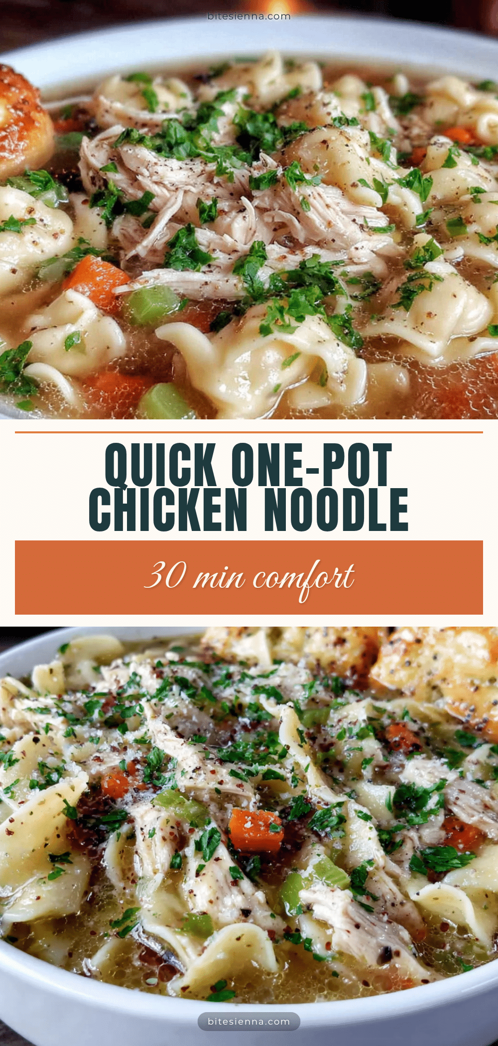one pot chicken noodle soup recipe