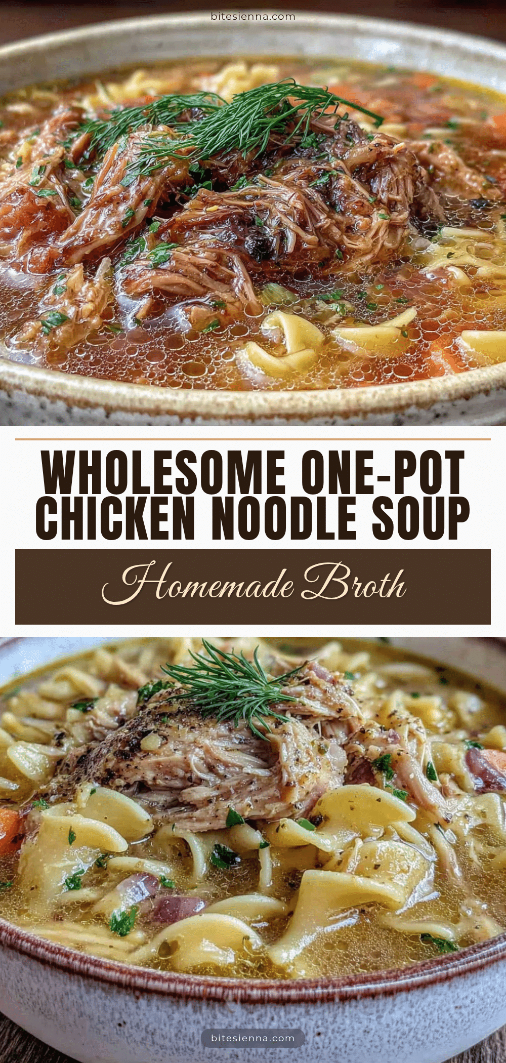one-pot chicken noodle soup with homemade broth recipe