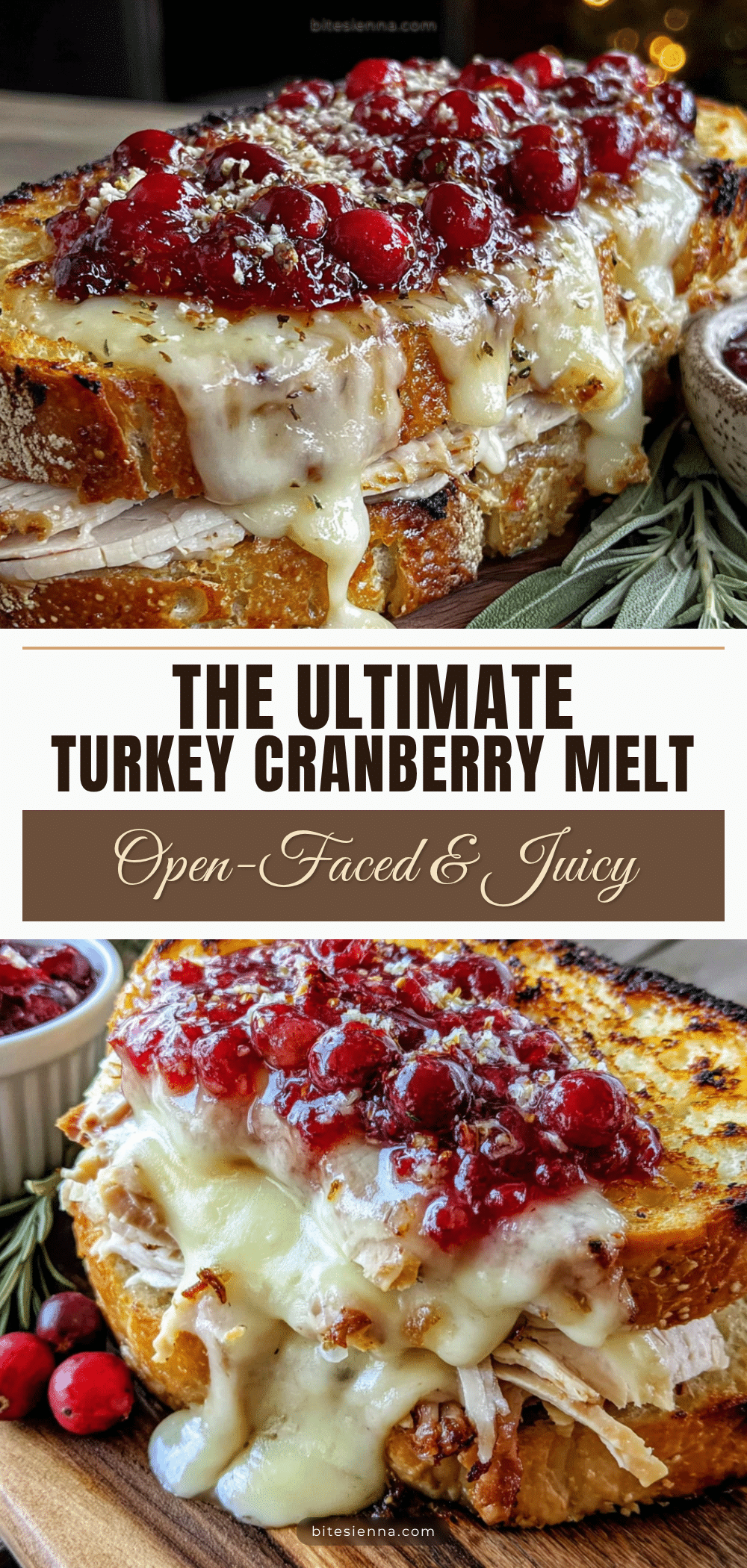 open faced turkey cranberry melt recipe