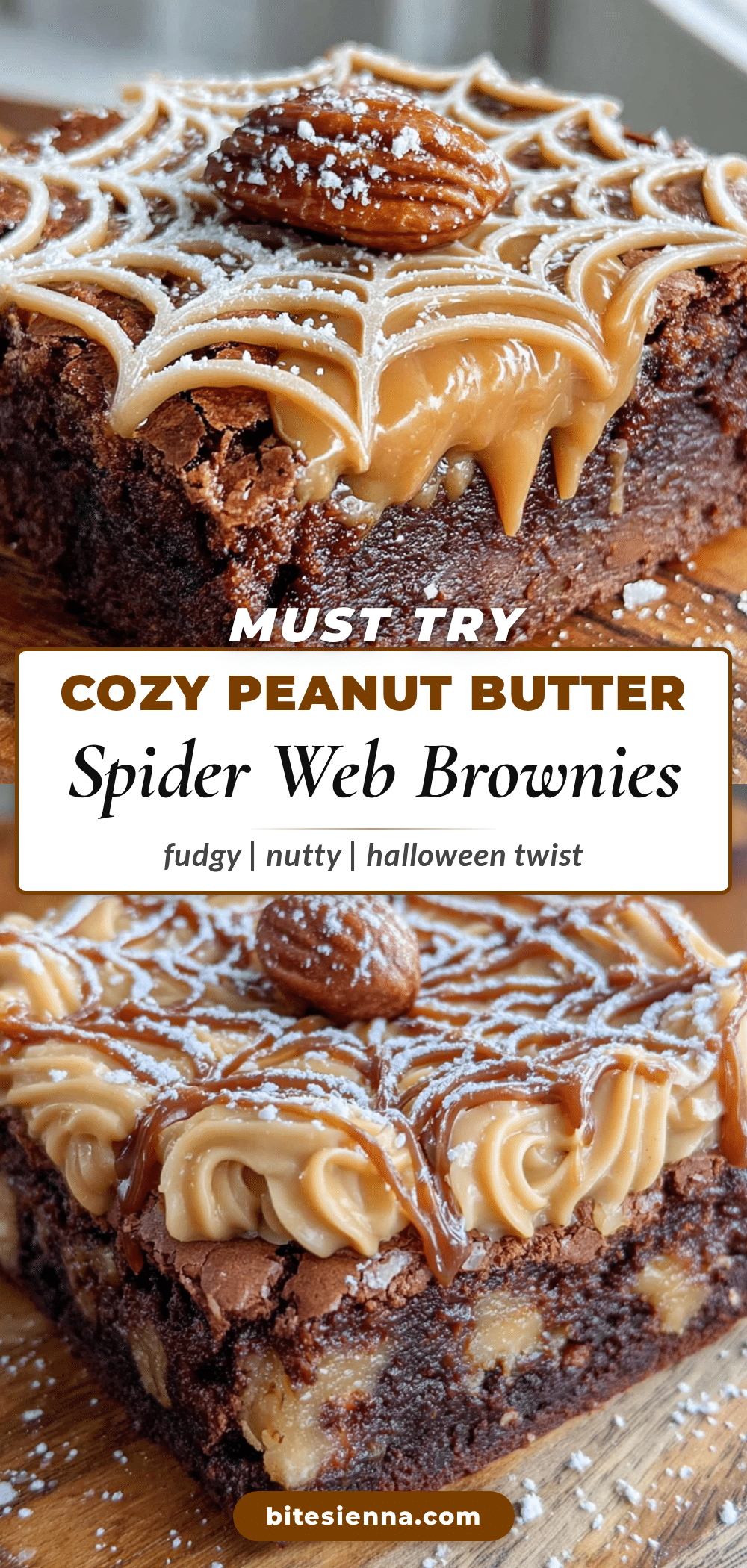 peanut butter spider web brownies recipe
