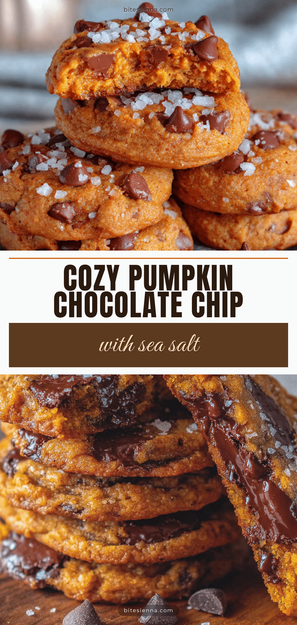 pumpkin chocolate chip cookies recipe
