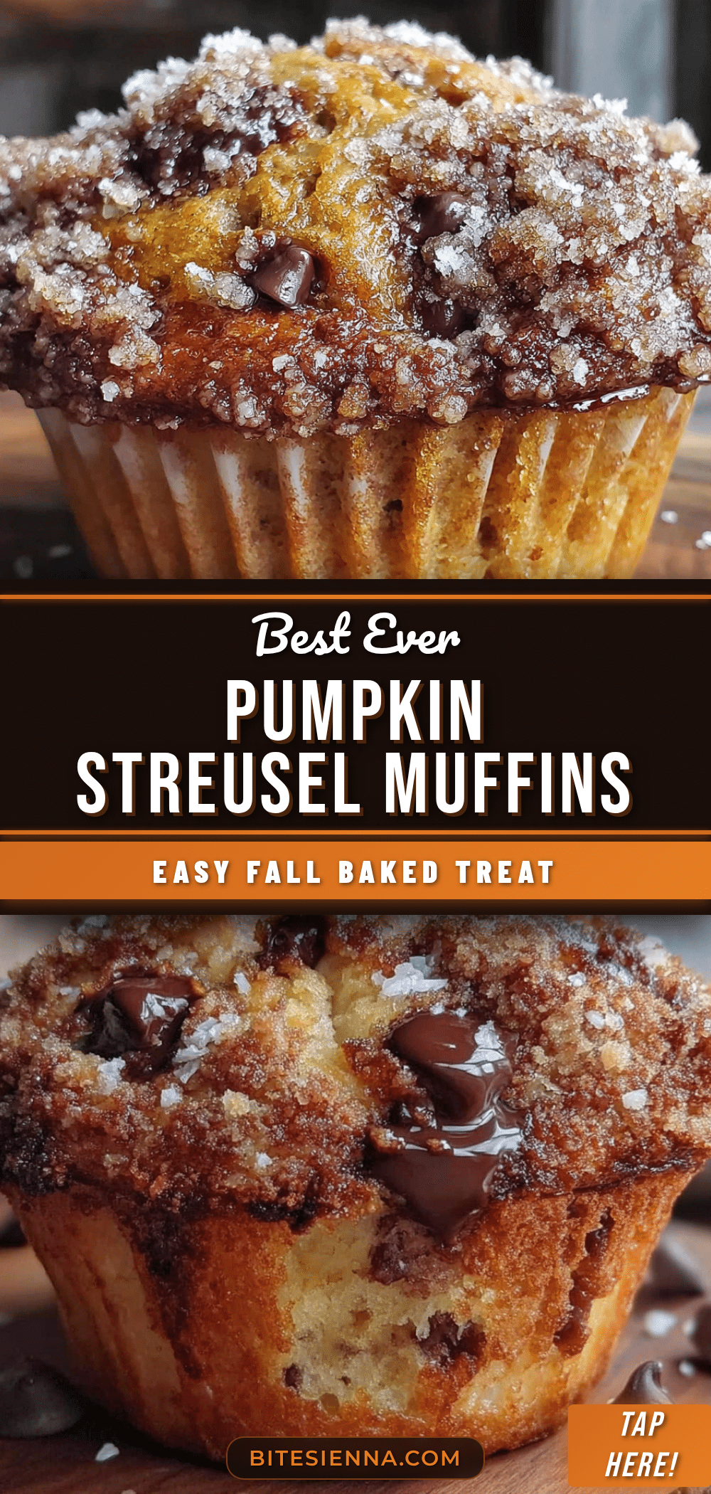 pumpkin chocolate chip muffins recipe