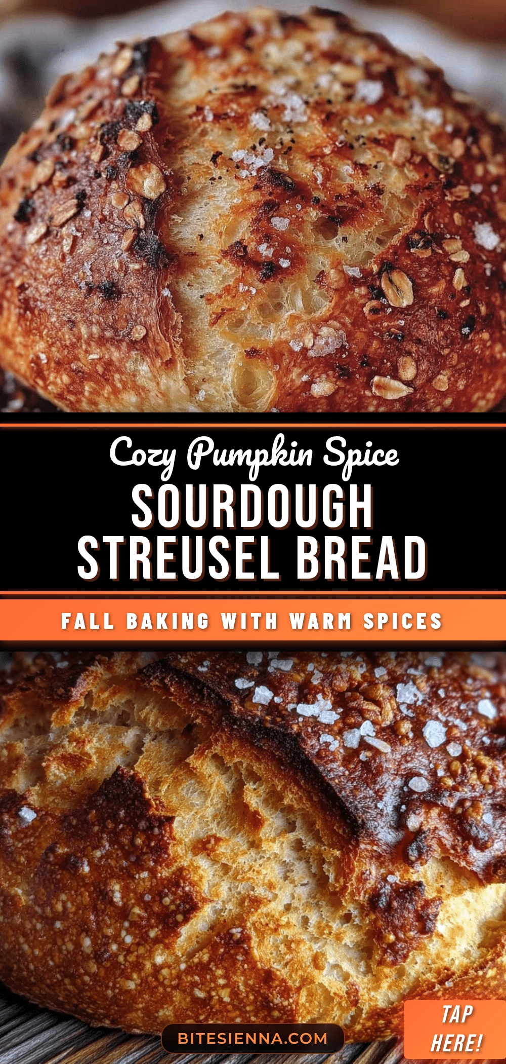 pumpkin spice sourdough with streusel recipe