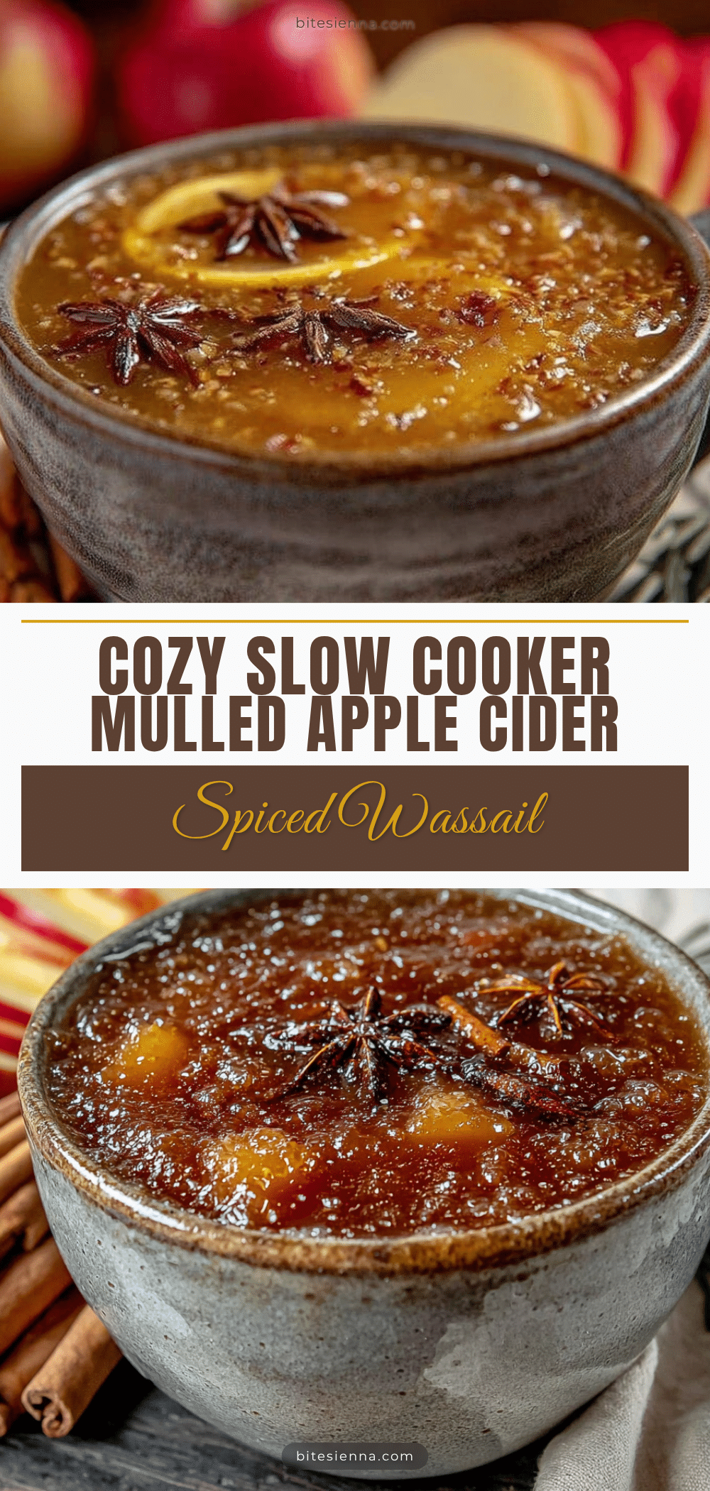 Slow Cooker Mulled Apple Cider Wassail recipe