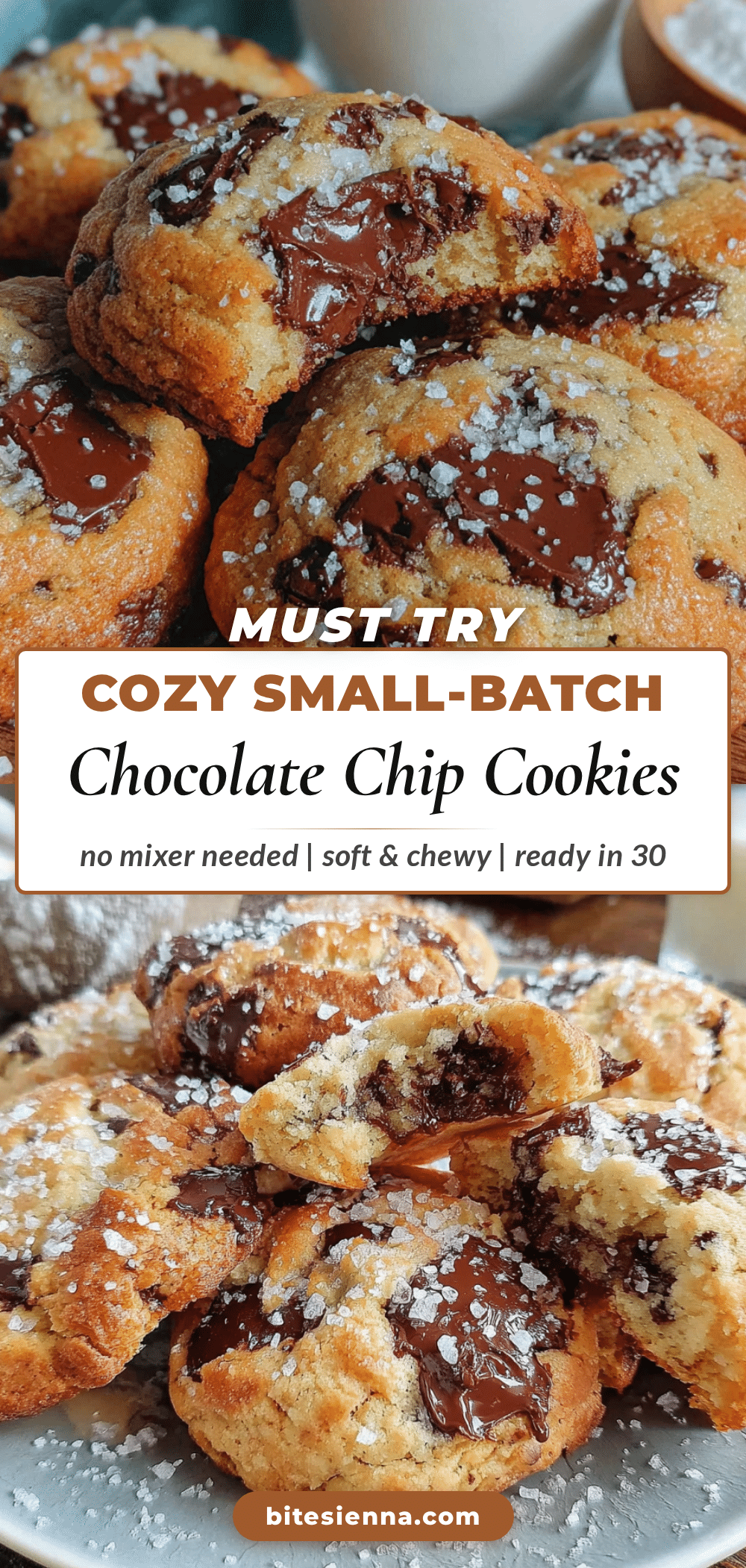 small-batch chocolate chip cookies recipe