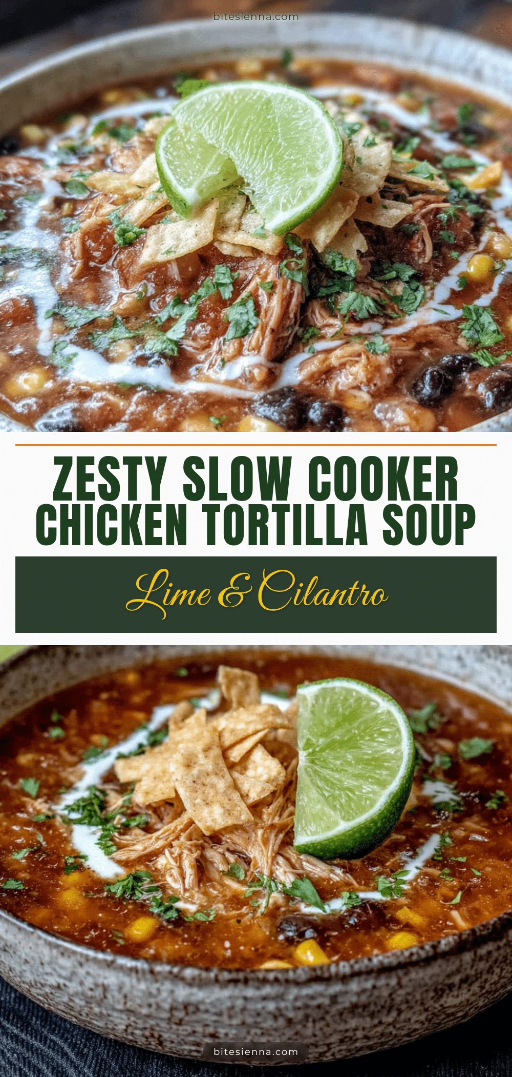 zesty slow cooker chicken tortilla soup with lime recipe