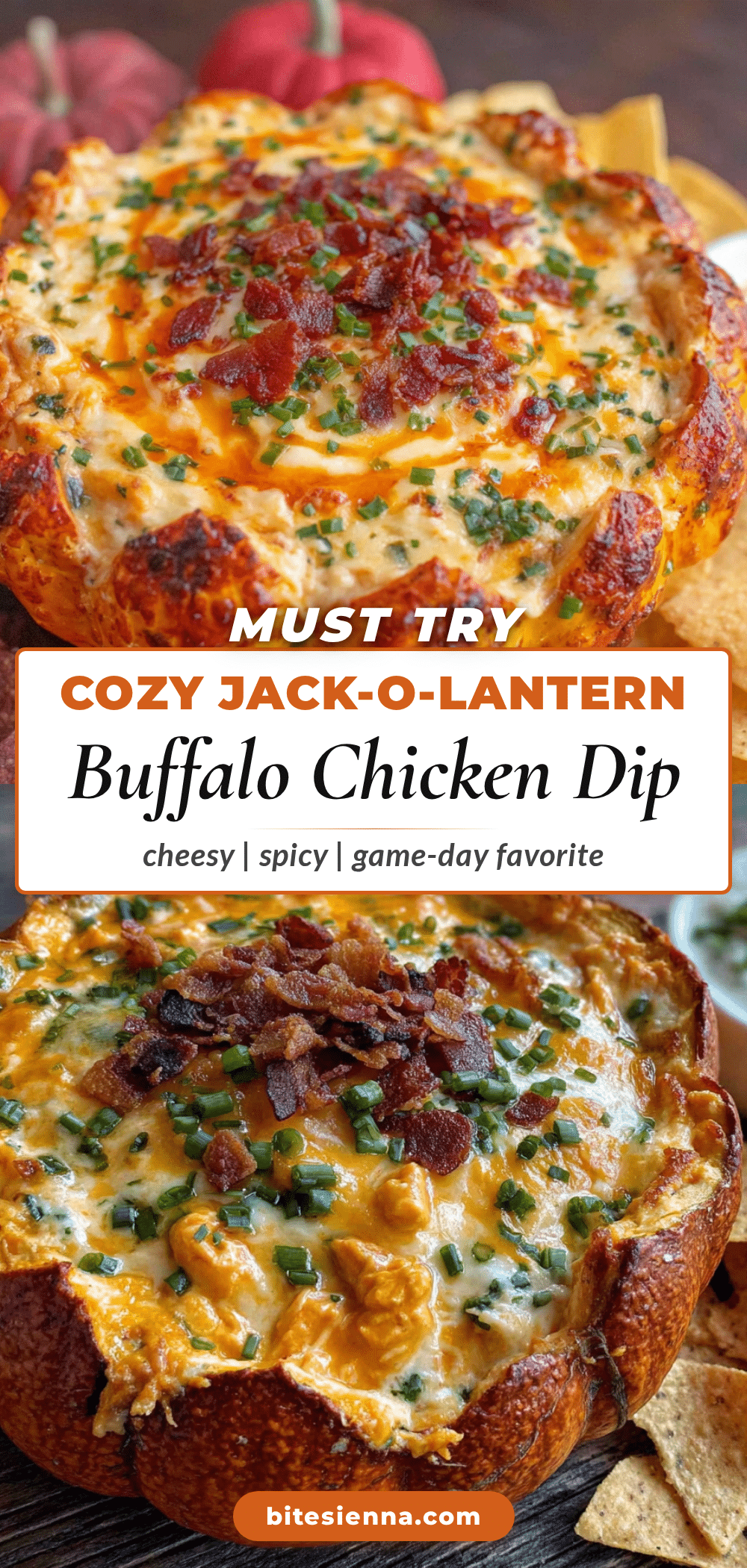 buffalo chicken dip recipe